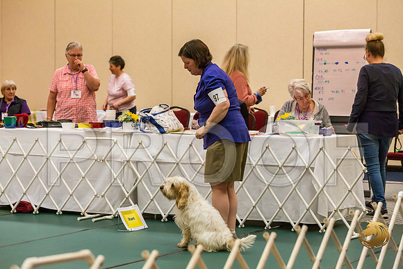 Rally Thurs AdvB #97 Megan Esherick Judge Nancy SimmonsJJJ_9733-PBGVKrvlTX2019-HR3