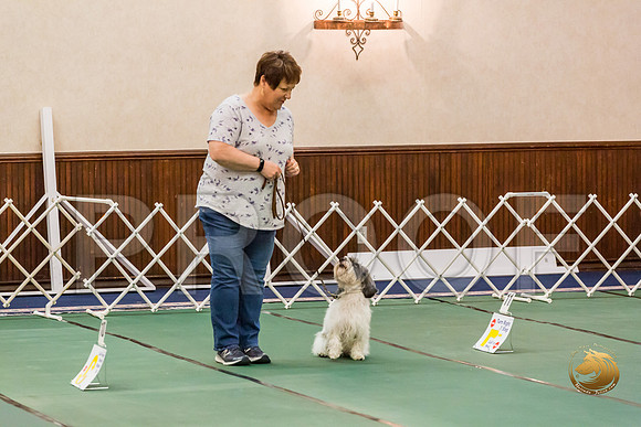 Rally Thurs Int #92 Vickie Williman Judge Nancy SimmonsJJJ_0006-PBGVKrvlTX2019-HR3