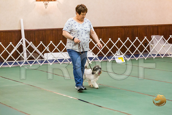 Rally Thurs Int #92 Vickie Williman Judge Nancy SimmonsJJJ_0008-PBGVKrvlTX2019-HR3
