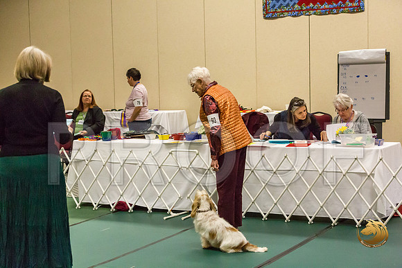 Rally Thurs Master #93  Minta Williquette Judge Nancy SimmonsJJJ_9342-PBGVKrvlTX2019-HR3