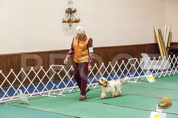 Rally Thurs Master #93  Minta Williquette Judge Nancy SimmonsJJJ_9364-PBGVKrvlTX2019-HR3