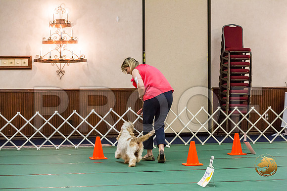 Rally Thurs NovB #87 Kristina Krieck Judge Nancy SimmonsJJJ_0036-PBGVKrvlTX2019-HR3