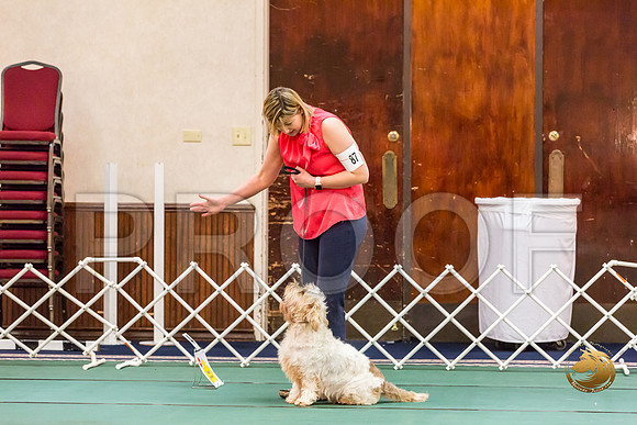 Rally Thurs NovB #87 Kristina Krieck Judge Nancy SimmonsJJJ_0043-PBGVKrvlTX2019-HR3