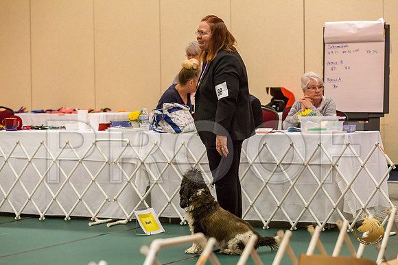 Rally Thurs NovB #88 Gloria Swaine Judge Nancy SimmonsJJJ_0082-PBGVKrvlTX2019-HR3