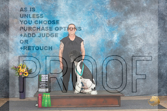 Poodle Std #23 Sun NTRA__JP_0008_Abilene_2024_HR3