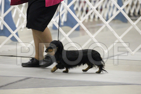 MJS_0148