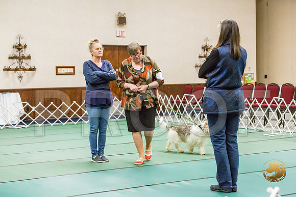 Obed Thurs BegNovB #82 Sharon Betker Judge Nancy SimmonsJJJ_9139-PBGVKrvlTX2019-HR3