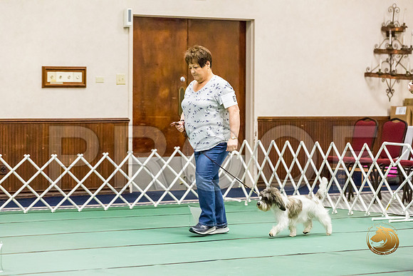 Obed Thurs BegNovB #83 Vickie Willman Judge Nancy SimmonsJJJ_9159-PBGVKrvlTX2019-HR3