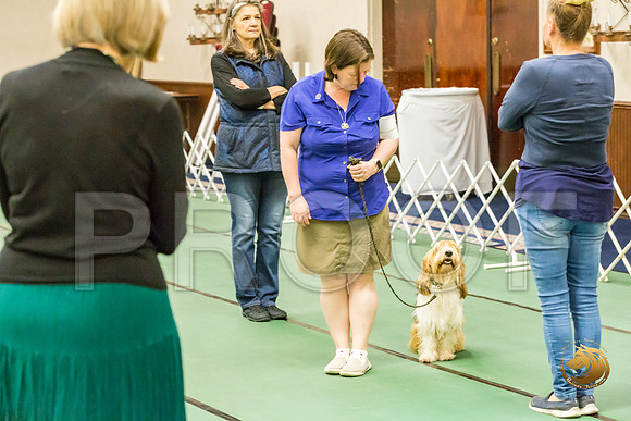 Obed Thurs NovB #76 Megan Esherick Judge Nancy SimmonsJJJ_8990-PBGVKrvlTX2019-HR3