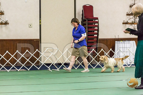 Obed Thurs NovB #85 Megan Esherick Judge Nancy SimmonsJJJ_9276-PBGVKrvlTX2019-HR3