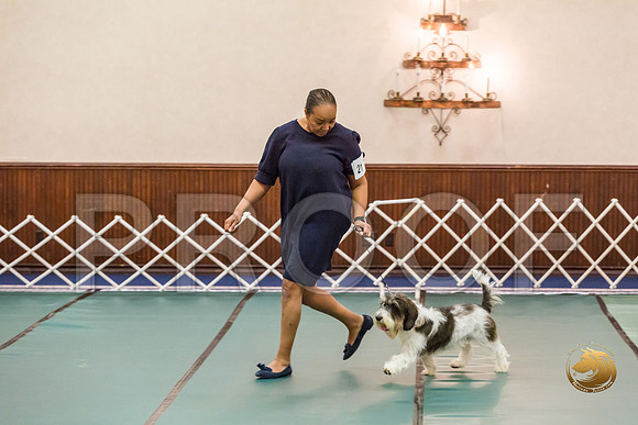 AmBred Dog Thurs RingsJJJ_1396-PBGVKrvlTX2019-HR3