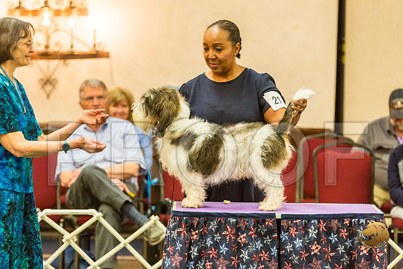AmBred Dog Thurs RingsJJJ_1403-PBGVKrvlTX2019-HR3