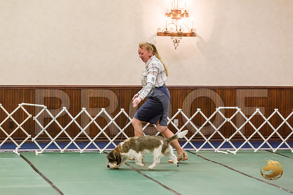 Amatuer OH D ThursJJJ_1307-PBGVKrvlTX2019-HR3