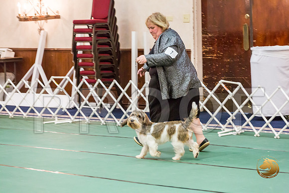 Best Puppy Thurs RingsJJJ_2878-PBGVKrvlTX2019-HR3