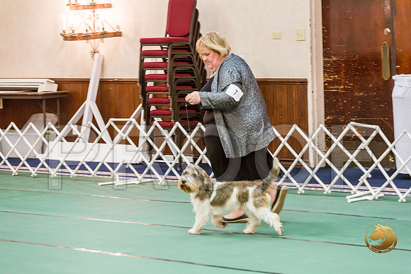 Best Puppy Thurs RingsJJJ_2879-PBGVKrvlTX2019-HR3