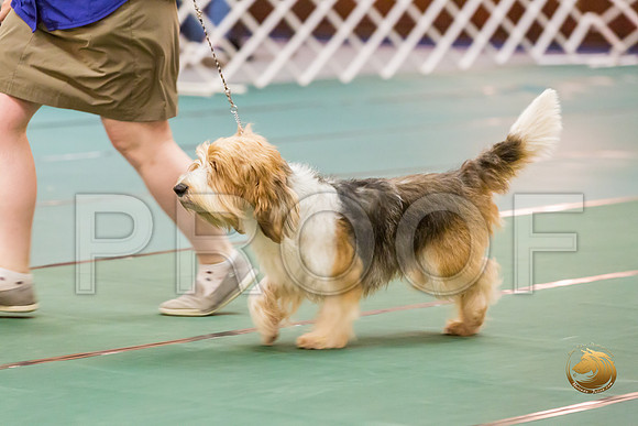 Bred By Exhibitor Dog Thurs RingsJJJ_1361-PBGVKrvlTX2019-HR3