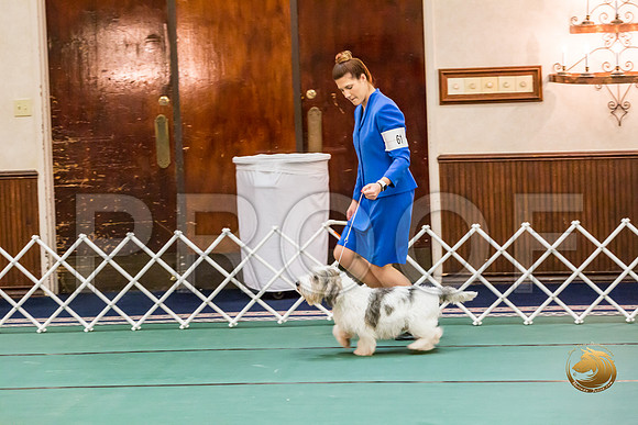 Juniors Vet ThursJJJ_1069-PBGVKrvlTX2019-HR3