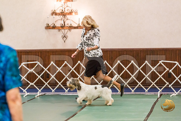 Open Dog Thurs RingsJJJ_1430-PBGVKrvlTX2019-HR3
