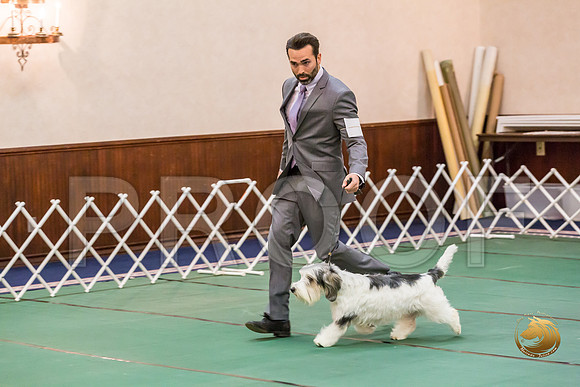 Sweeps 12 to 18 Dog Rings ThursJJJ_0540-PBGVKrvlTX2019-HR3