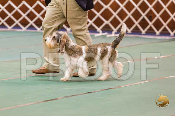 Sweeps 9 to 12 Dog Rings ThursJJJ_0463-PBGVKrvlTX2019-HR3