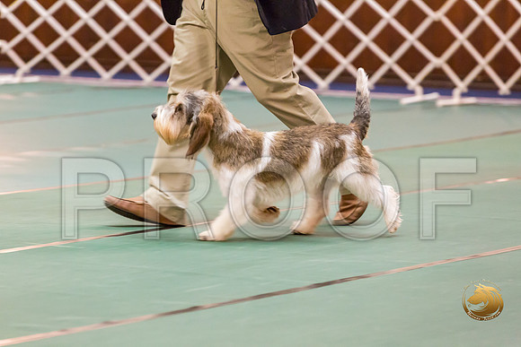 Sweeps 9 to 12 Dog Rings ThursJJJ_0464-PBGVKrvlTX2019-HR3