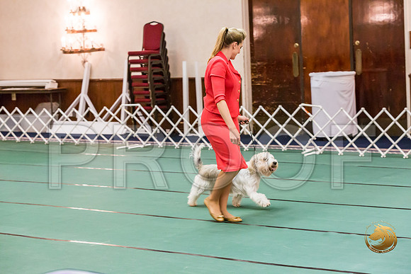 Sweeps Best Vet ThursJJJ_1015-PBGVKrvlTX2019-HR3