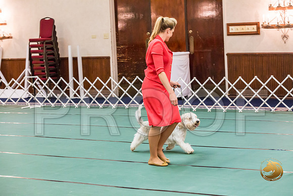 Sweeps Best Vet ThursJJJ_1017-PBGVKrvlTX2019-HR3
