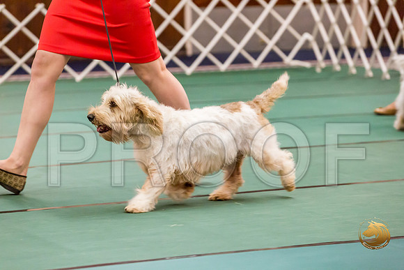 Sweeps Best Vet ThursJJJ_1019-PBGVKrvlTX2019-HR3