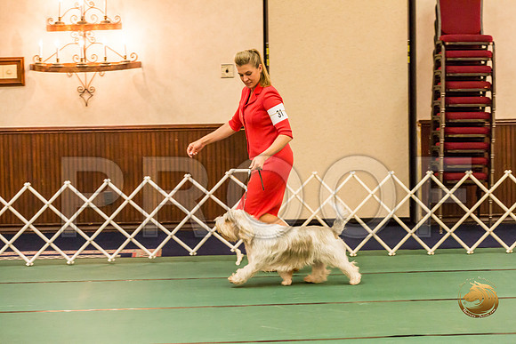 Sweeps Best Vet ThursJJJ_1034-PBGVKrvlTX2019-HR3