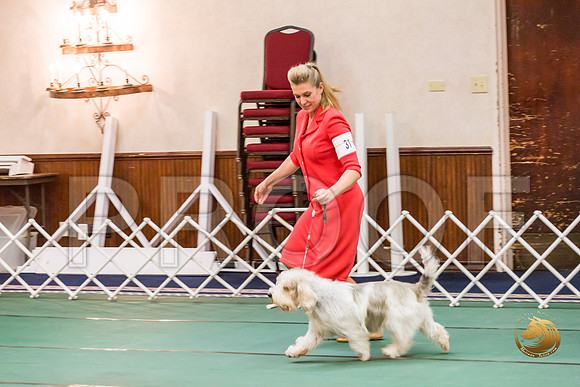 Sweeps Vet Dog ThursJJJ_0905-PBGVKrvlTX2019-HR3