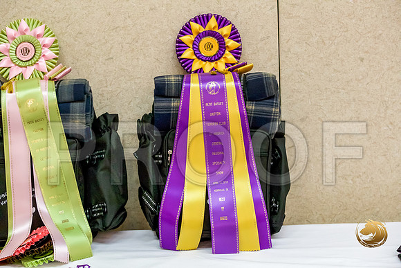 Thurs Sweeps Candids JJJ_0196-2-PBGVKrvlTX2019-HR3