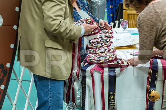 Top Twenty RingsJJJ_2993-PBGVKrvlTx2019-HR3