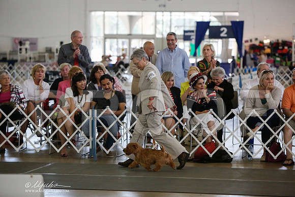 _JJ_2290-DallasJul2014-HR3