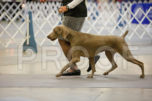 _JJ_6090-AmarilloSept2014-HR3