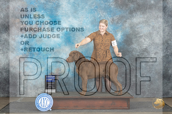 Chesapeake Bay Retriever #5 Sun G1 Judge Nancy Simmons__JP_4188_Lubbock_2024_HR3