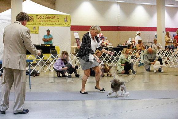 _JJ_1549-AmarilloSept2014-HR3
