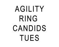 Agility Tues