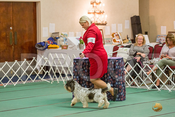 12 to 18 Dog SatJJJ_5049-PBGVKrvlTX2019-HR3