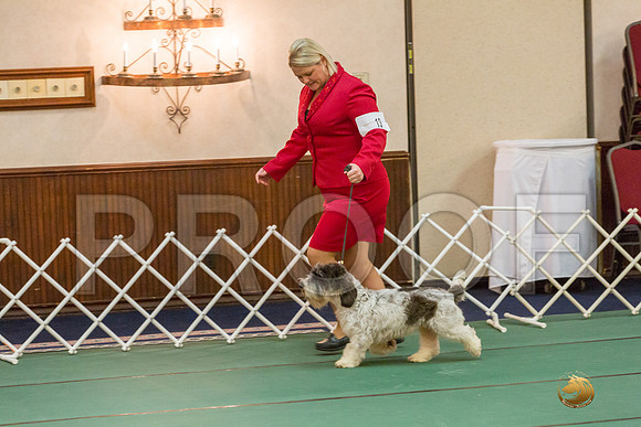 12 to 18 Dog SatJJJ_5062-PBGVKrvlTX2019-HR3