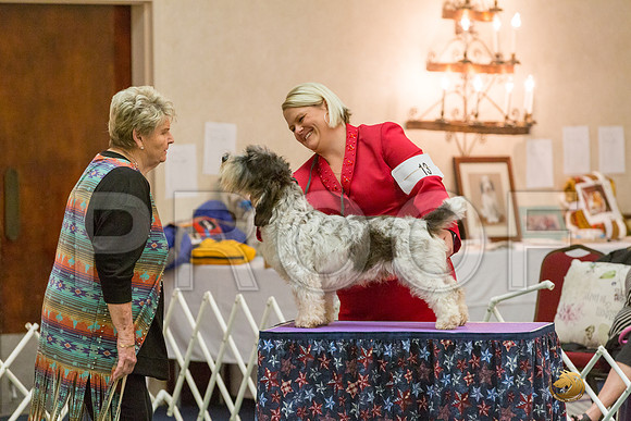 12 to 18 Dog SatJJJ_5074-PBGVKrvlTX2019-HR3