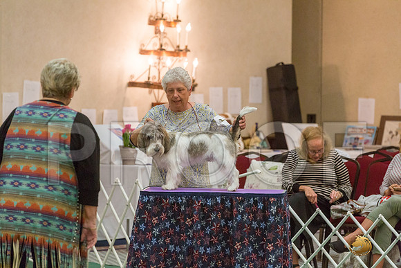 9 to 12 Dog SatJJJ_5017-PBGVKrvlTX2019-HR3