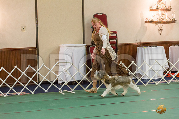 AOH Dog SatJJJ_5106-PBGVKrvlTX2019-HR3
