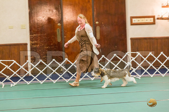 AOH Dog SatJJJ_5113-PBGVKrvlTX2019-HR3