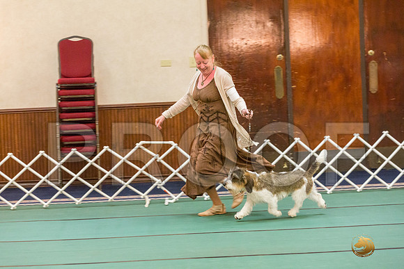 AOH Dog SatJJJ_5116-PBGVKrvlTX2019-HR3
