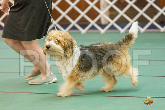 BBE Dog SatJJJ_5165-PBGVKrvlTX2019-HR3