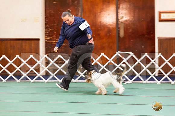 Best Puppy SatJJJ_6675-PBGVKrvlTX2019-HR3
