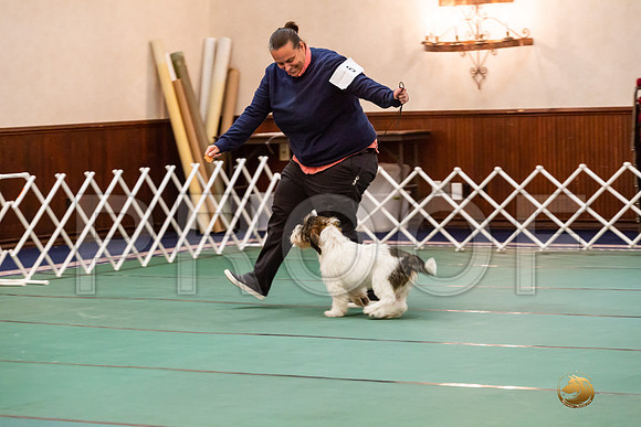 Best Puppy SatJJJ_6684-PBGVKrvlTX2019-HR3