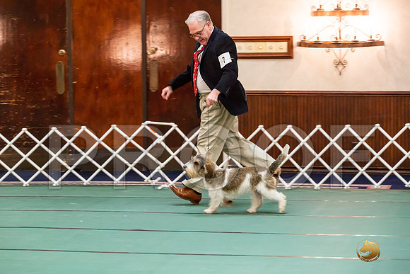 Best Puppy SatJJJ_6689-PBGVKrvlTX2019-HR3