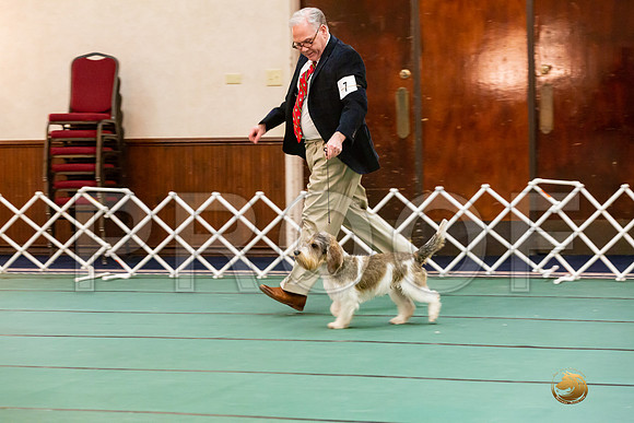 Best Puppy SatJJJ_6693-PBGVKrvlTX2019-HR3