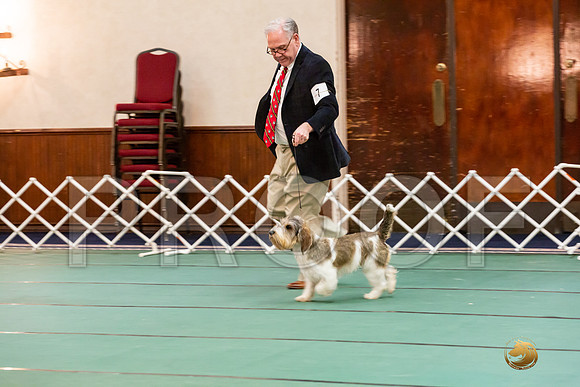 Best Puppy SatJJJ_6694-PBGVKrvlTX2019-HR3